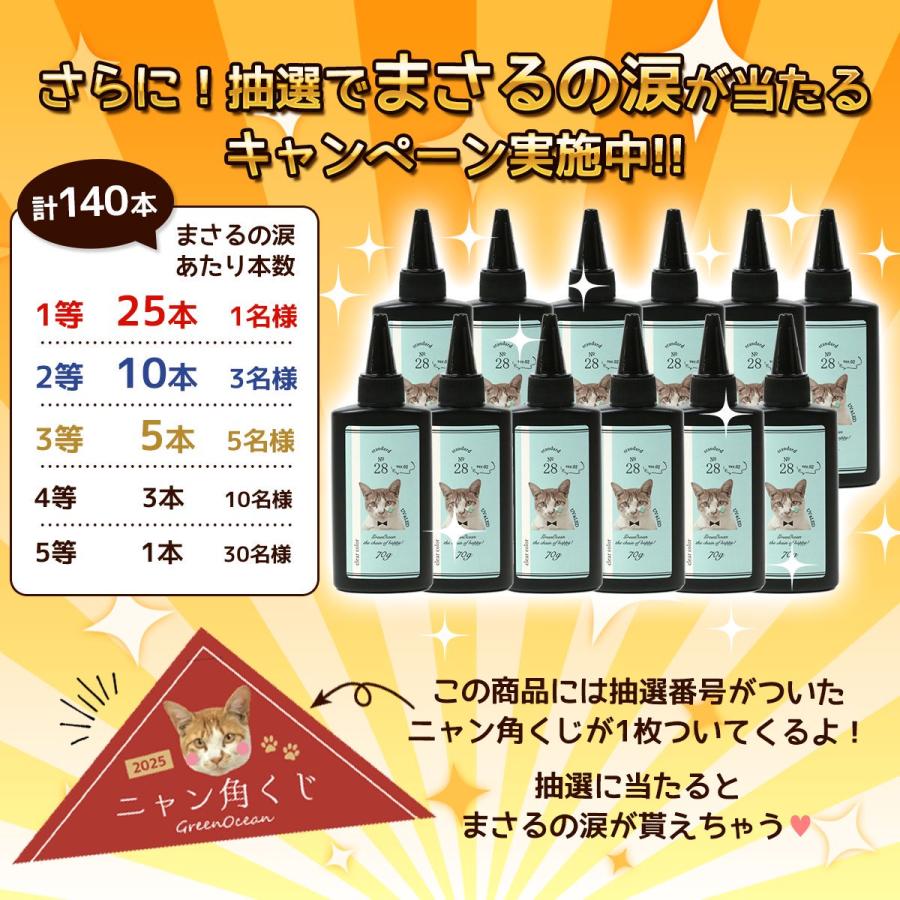 隠れ工房GreenOcean □ゆうパケ送料無料 ニャン角くじ付 レジン液 運 