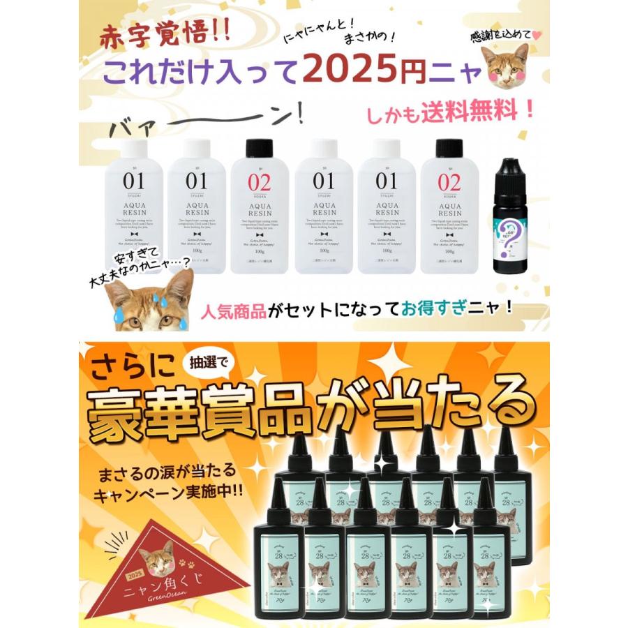 隠れ工房GreenOcean □ゆうパケ送料無料 ニャン角くじ付 レジン