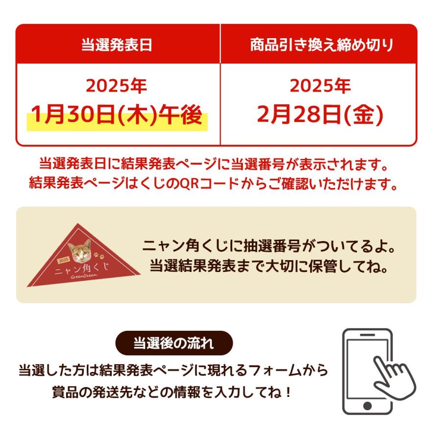 隠れ工房GreenOcean □ゆうパケ送料無料 ニャン角くじ付 レジン液 運