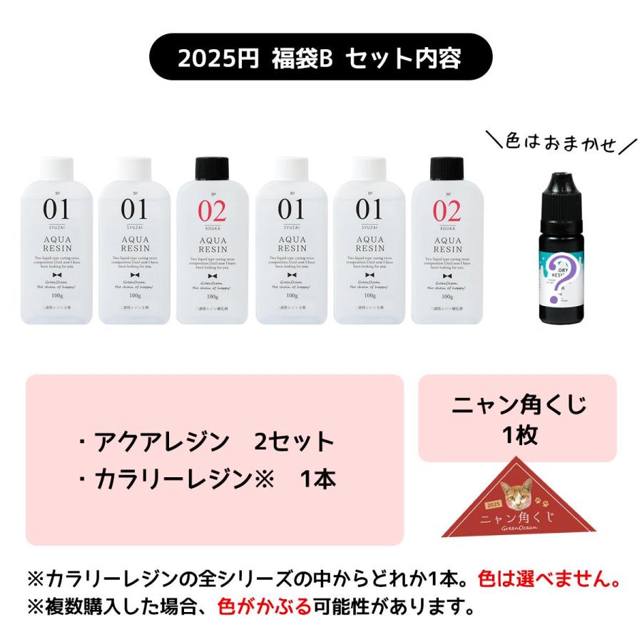 隠れ工房GreenOcean □ゆうパケ送料無料 ニャン角くじ付 レジン液 運