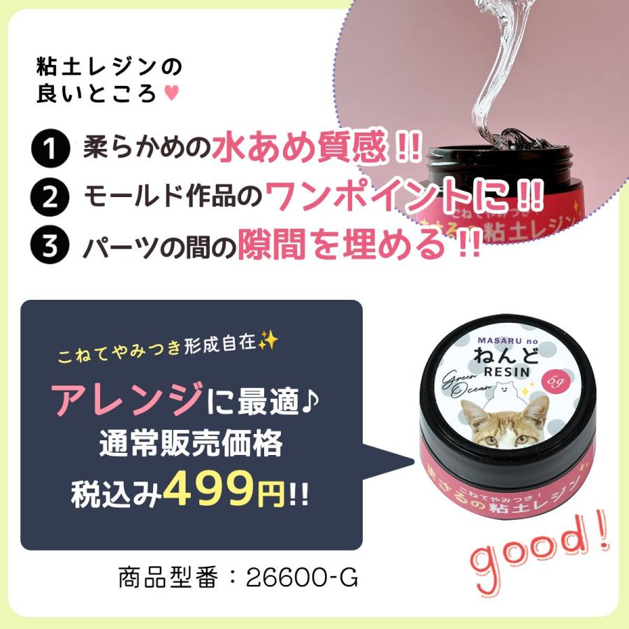 隠れ工房GreenOcean □ゆうパケ送料無料 ニャン角くじ付 レジン液 運