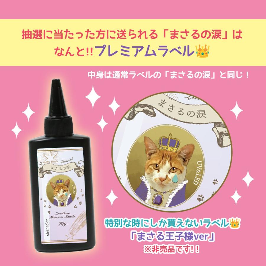 隠れ工房GreenOcean □ゆうパケ送料無料 ニャン角くじ付 レジン液 運