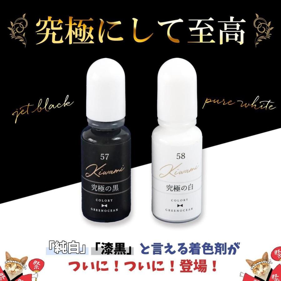 隠れ工房GreenOcean 着色剤 レジン着色剤 カラリー 極カラー