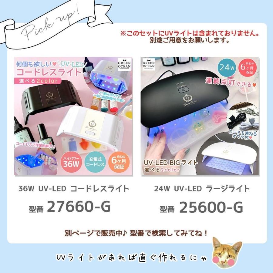 隠れ工房GreenOcean レジンセット るぅくまさん監修 海塗りスタート