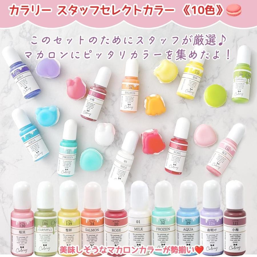 隠れ工房GreenOcean レジンセット マカロン量産 レジンキット