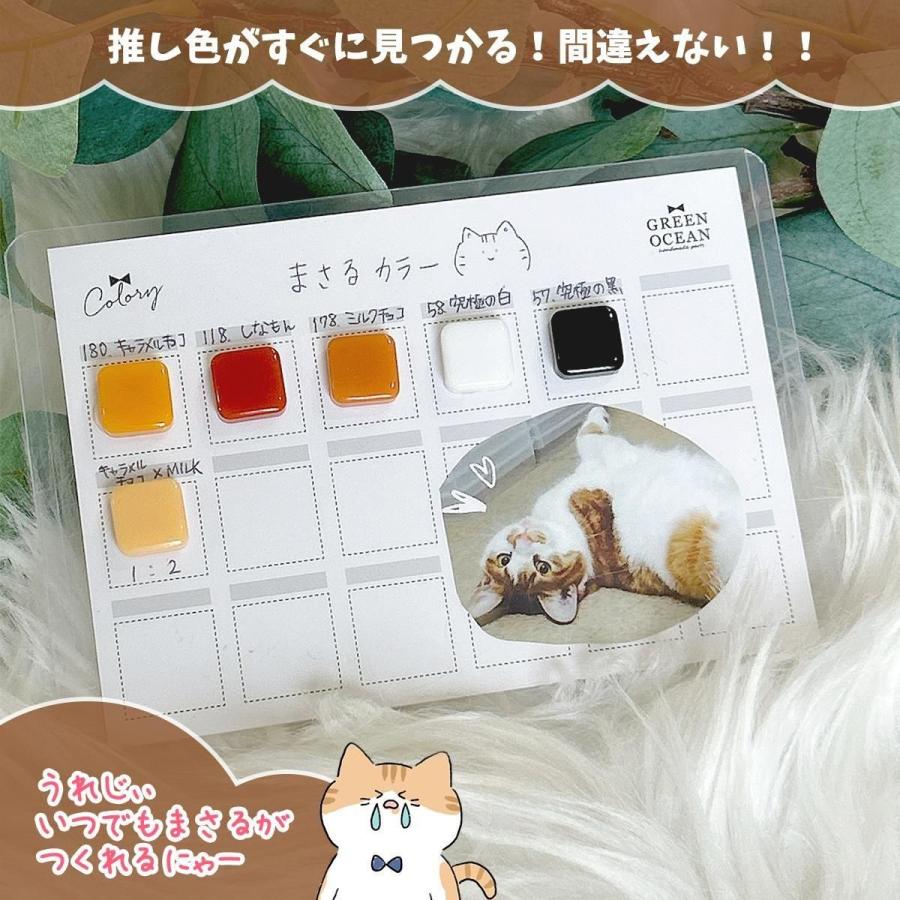 隠れ工房GreenOcean 台紙 カラーチャートシート 5枚 GreenOcean