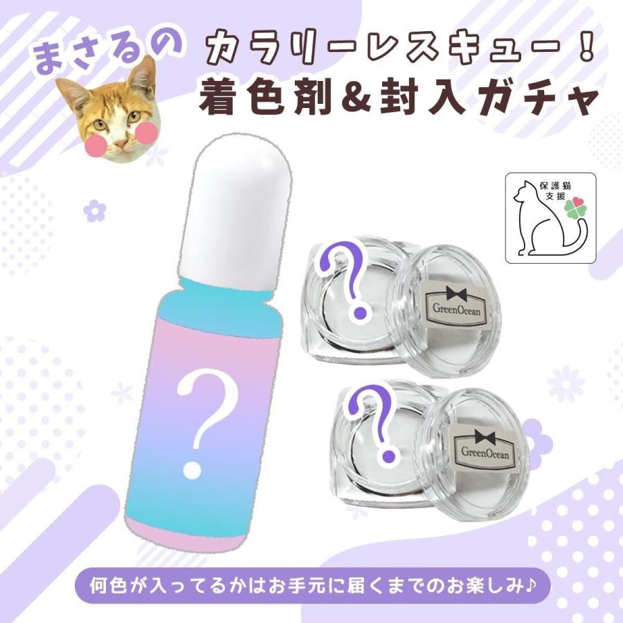 隠れ工房GreenOcean □福袋 『まさるのカラリーレスキュー！着色剤と