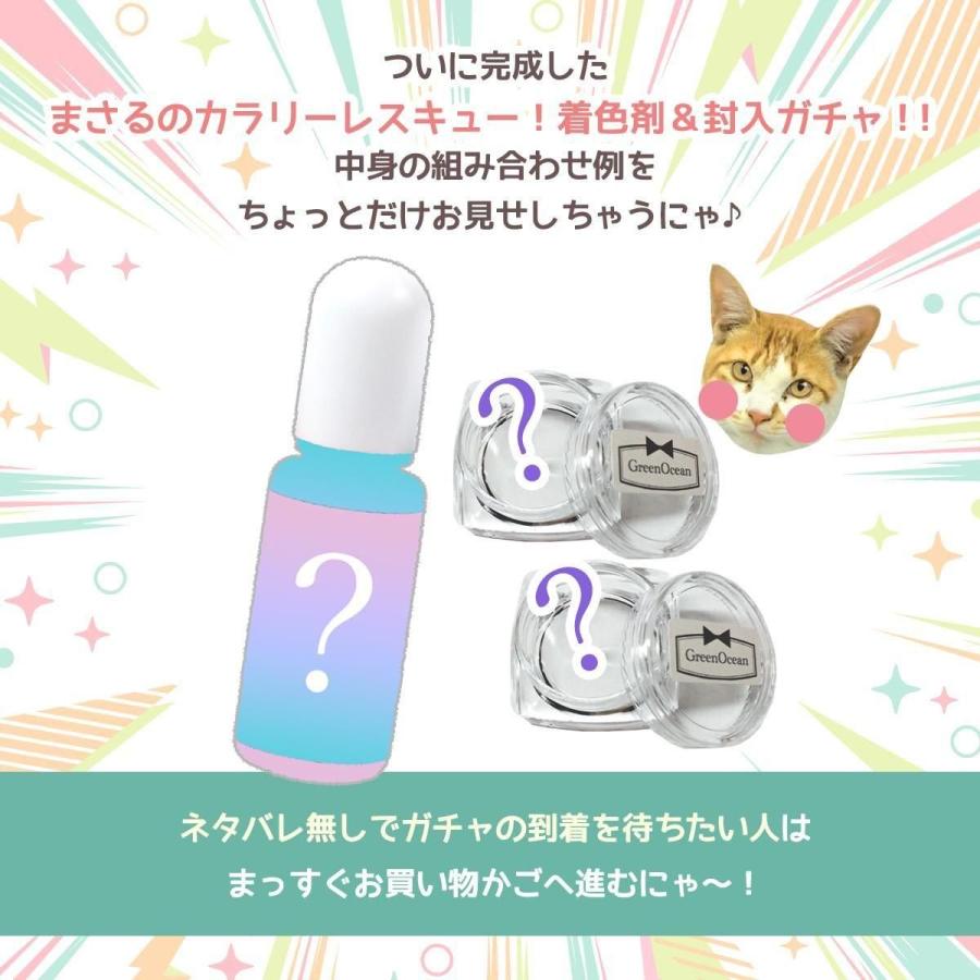 隠れ工房GreenOcean □福袋 『まさるのカラリーレスキュー！着色剤と