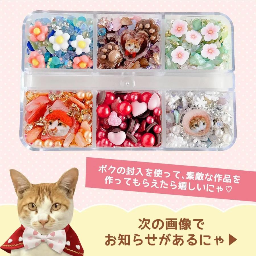 王一博 肖戦 二層構造の猫の肉球レジン収納ボックス❣️3セット❣️確認用❣️0106 隠れ工房GreenOcean 封入 まさるのオリジナルバラエティ封入6種セット