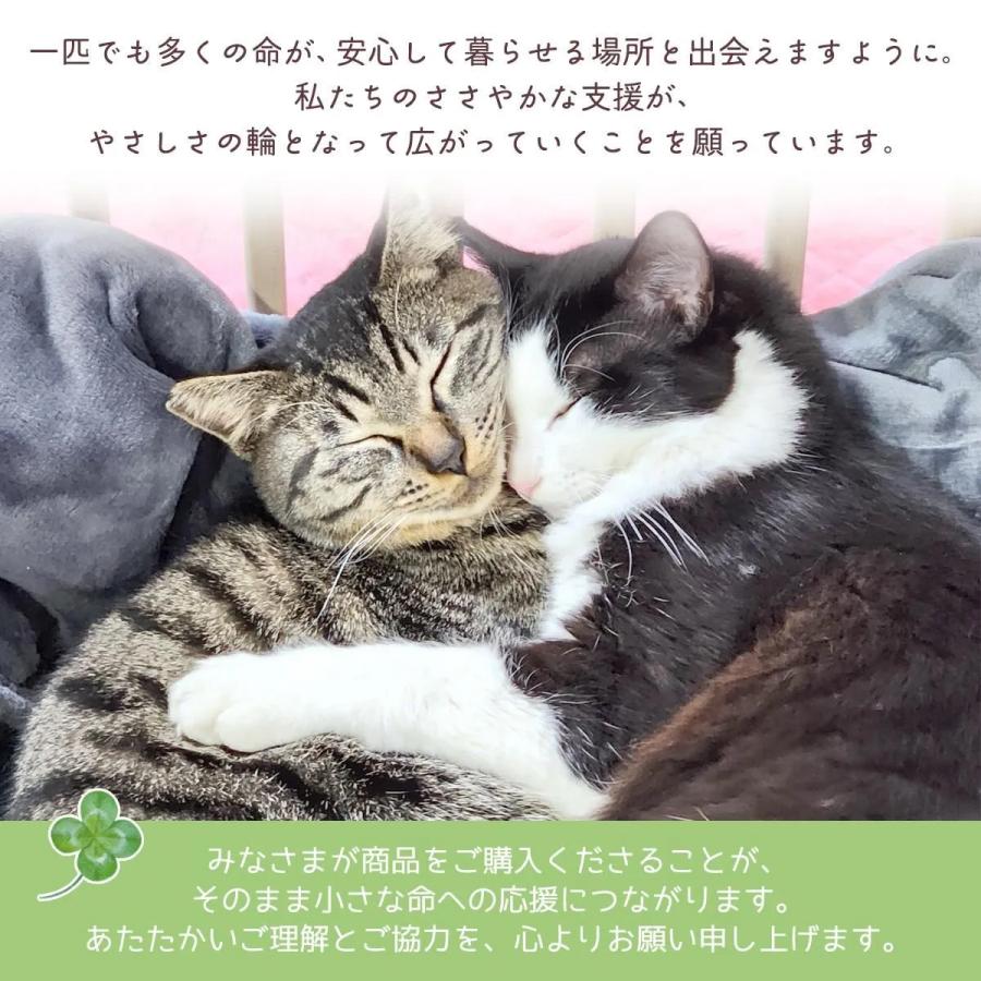 隠れ工房GreenOcean 封入 まさるのオリジナルバラエティ封入6種セット