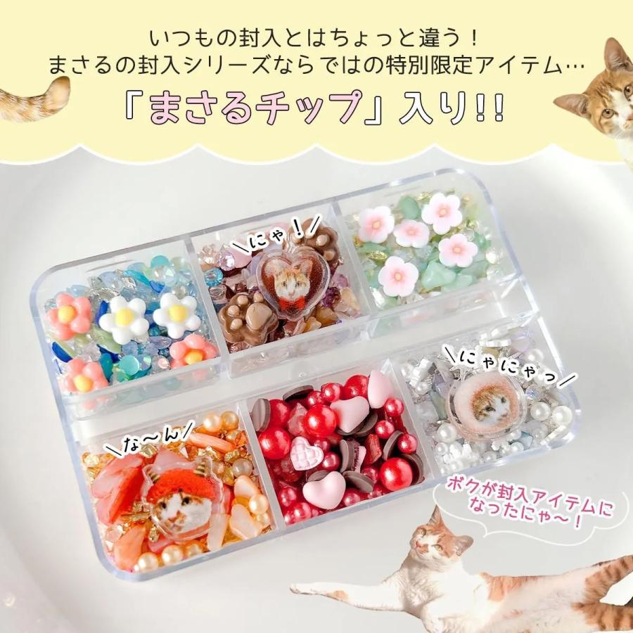 隠れ工房GreenOcean 封入 まさるのオリジナルバラエティ封入6種セット