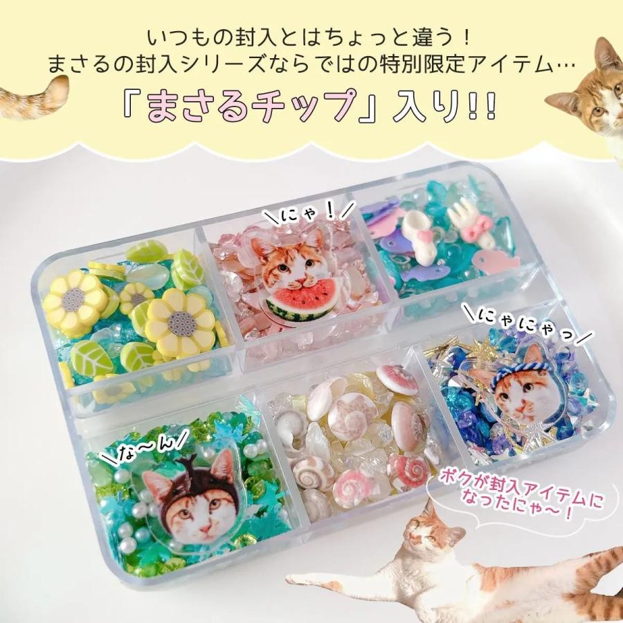 隠れ工房GreenOcean 封入 まさるのオリジナルバラエティ封入6種セット