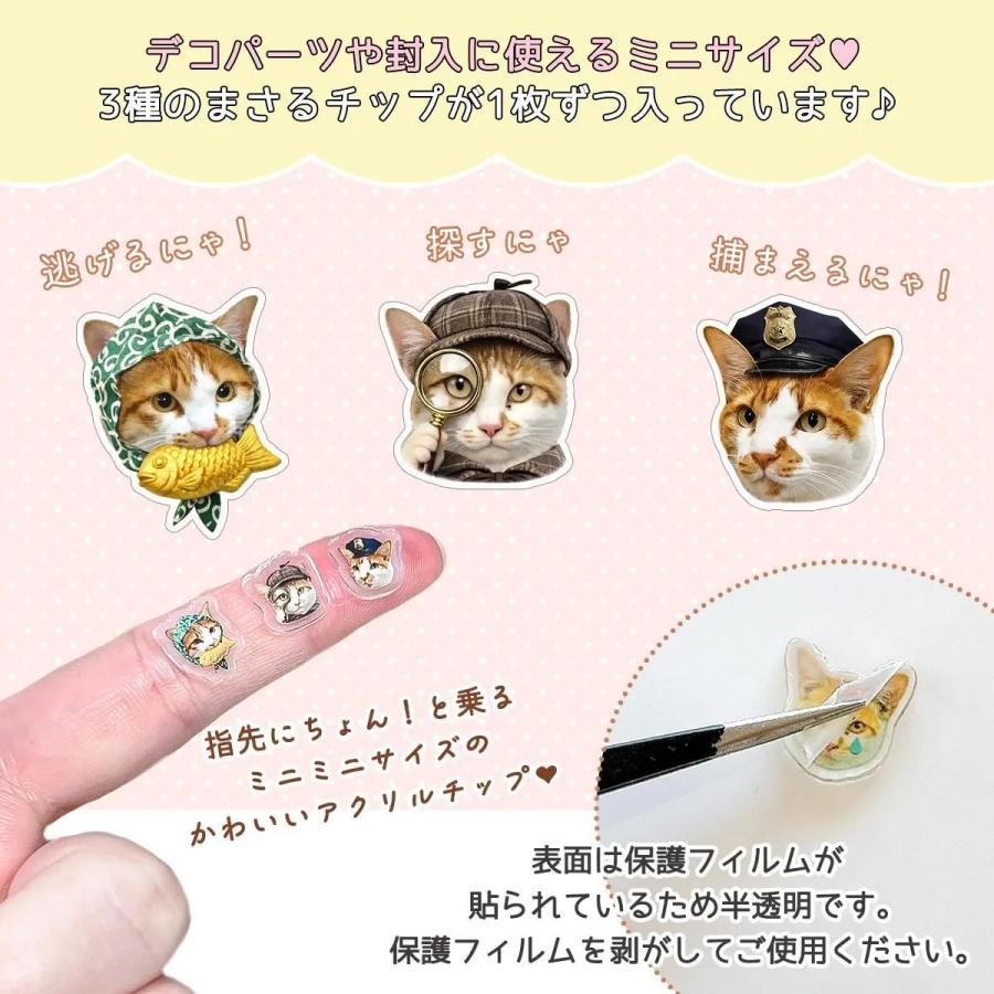 隠れ工房GreenOcean 封入 まさるのオリジナルバラエティ封入6種セット