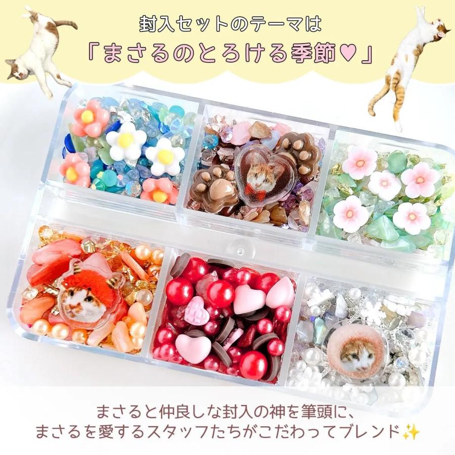 肖戦 新作 流砂レジンパネル 5点セット❣️確認用❣️0108 隠れ工房GreenOcean 封入 まさるのオリジナルバラエティ封入6種セット