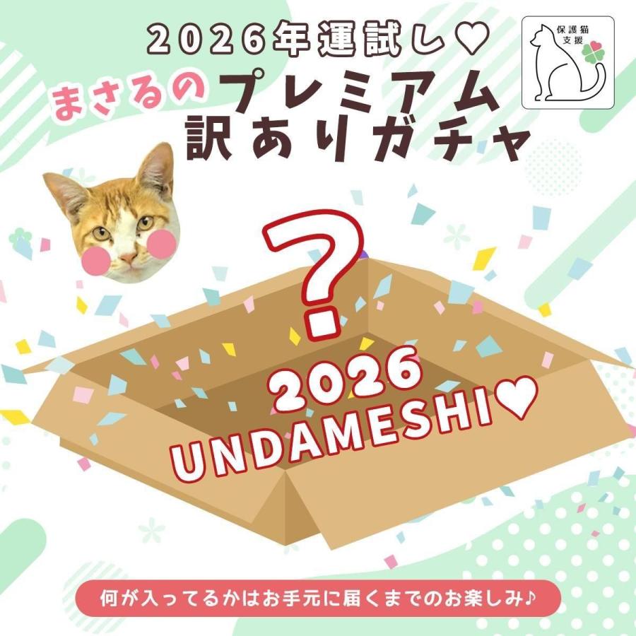 隠れ工房GreenOcean □福袋 2026年 夏の運試し まさるのプレミアム訳