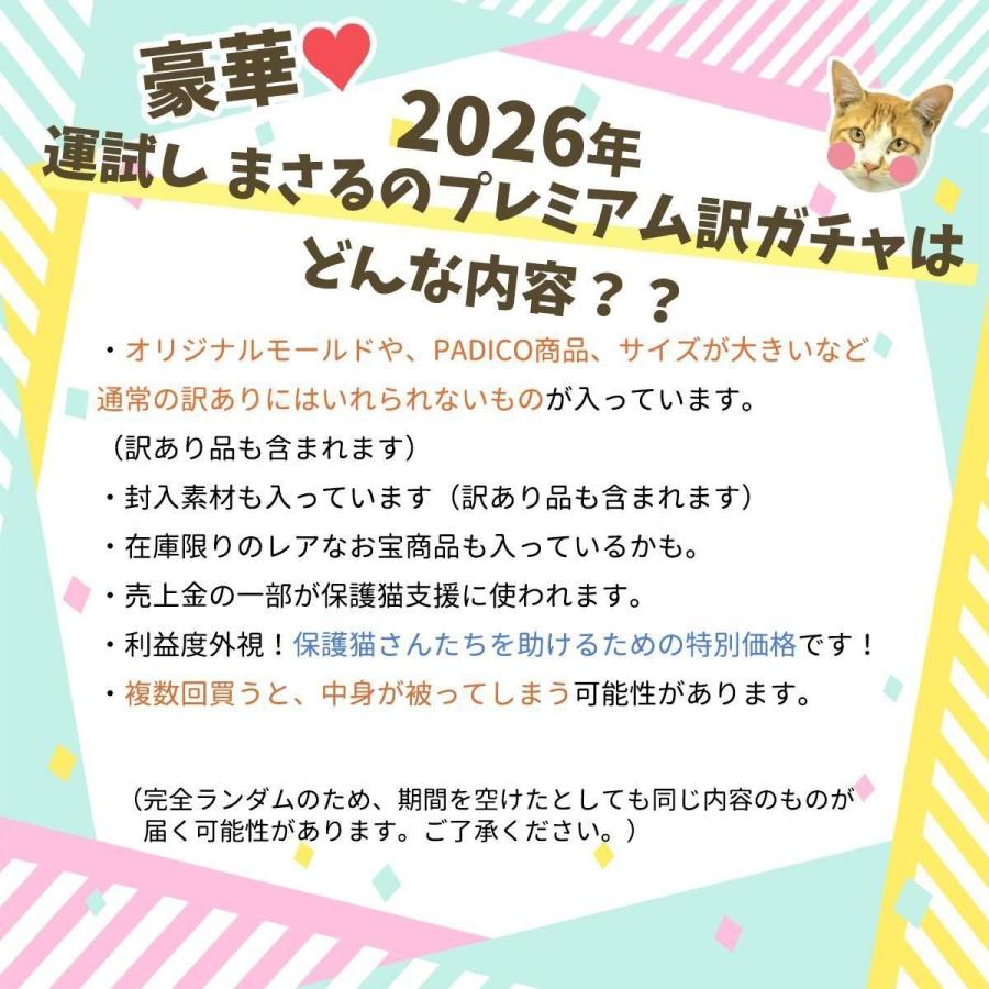 隠れ工房GreenOcean □福袋 『2026年 運試し まさるのプレミアム訳 