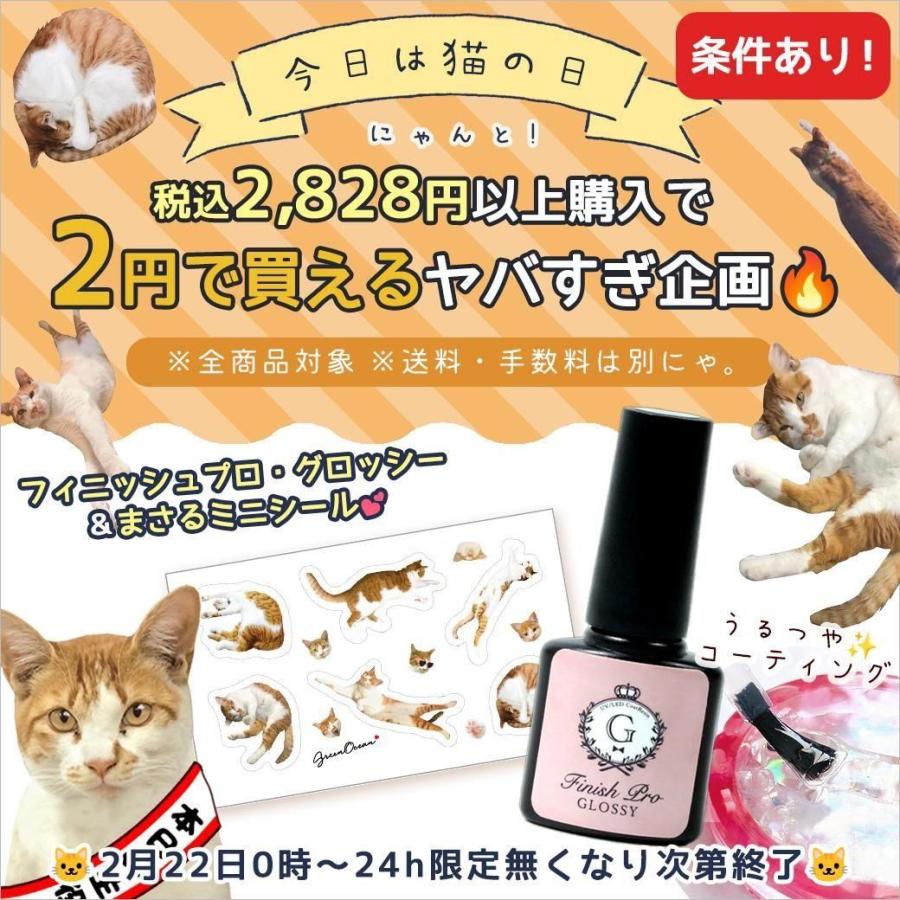 隠れ工房GreenOcean □条件あり！ 商品計税込2828円以上でグロッシーと