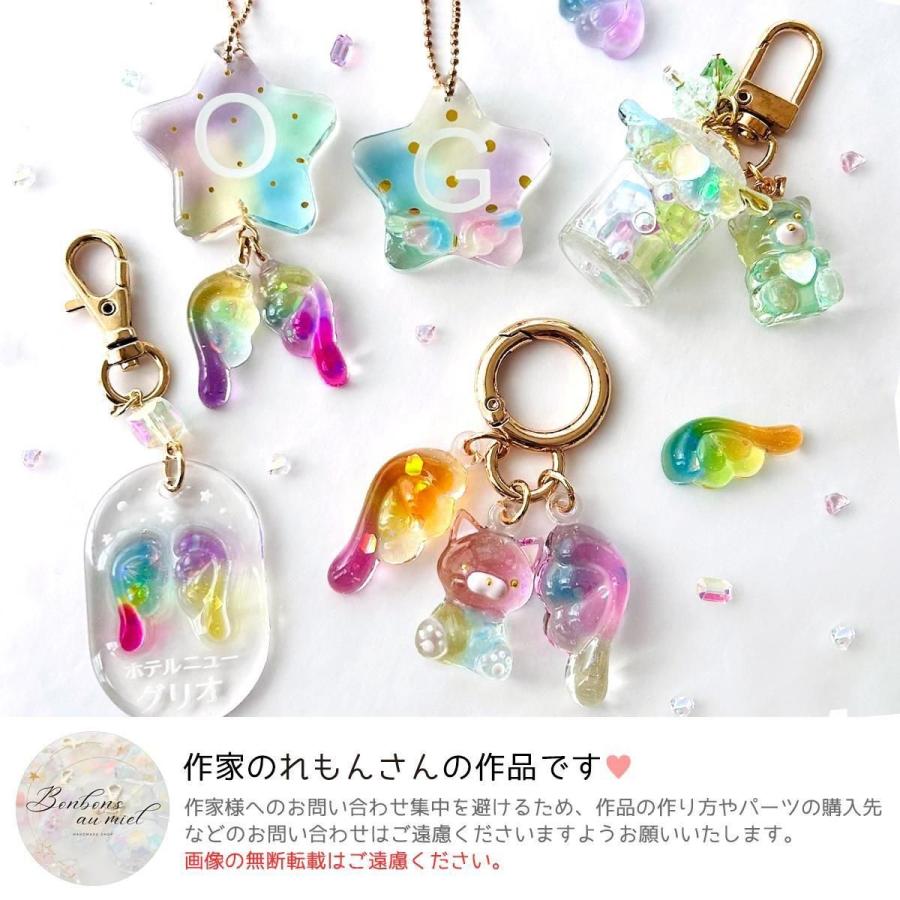 隠れ工房GreenOcean シリコン型・モールド 5サイズ両翼♪ ぷっくり羽根