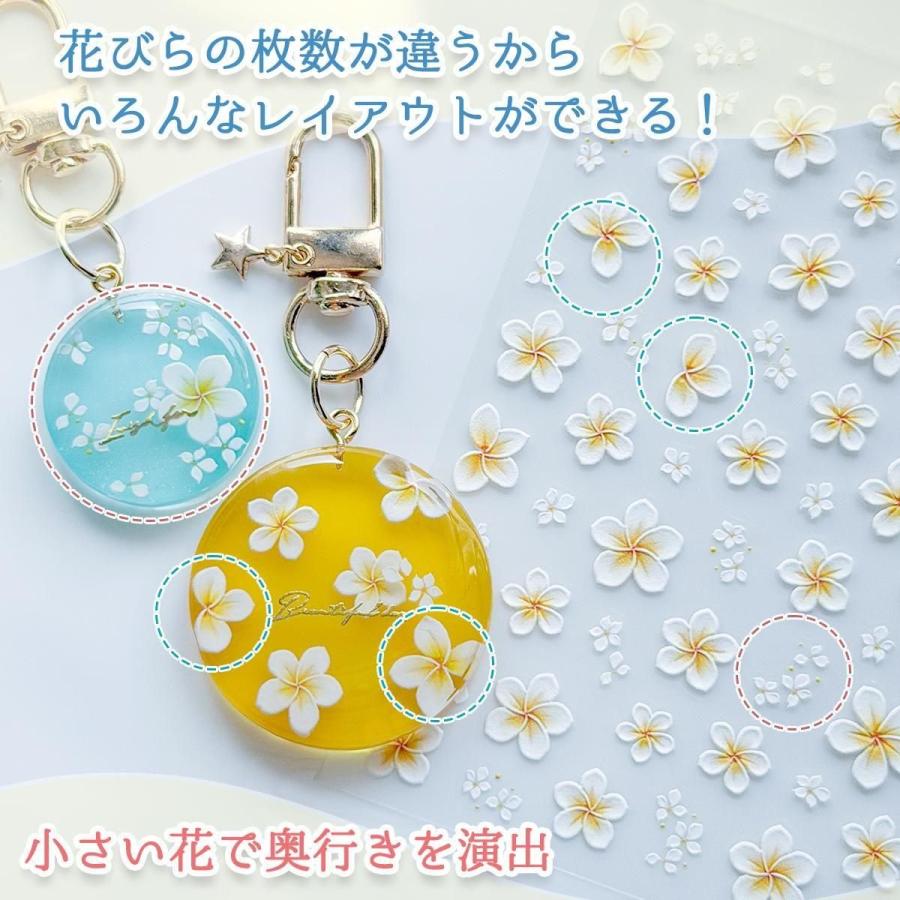 シール プレミアムレジンシール プルメリア 立体 エンボス お花 夏 海