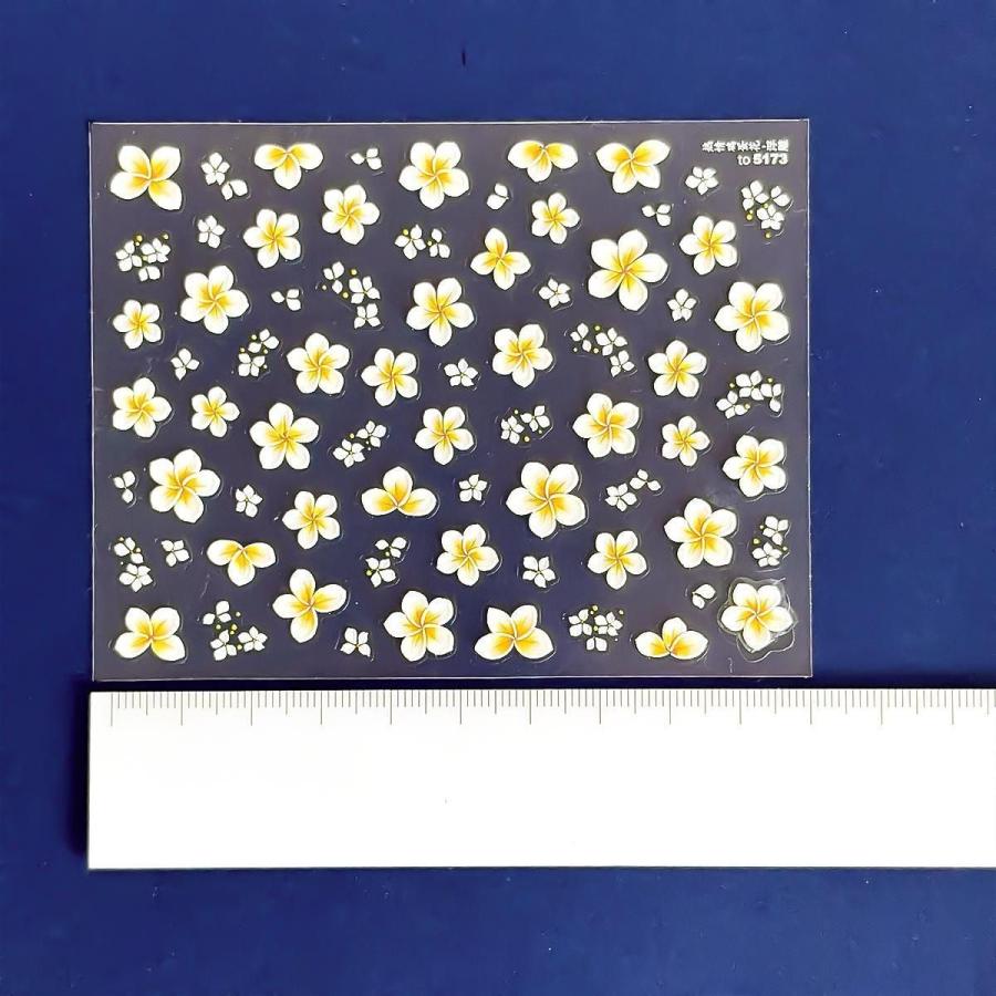 シール プレミアムレジンシール プルメリア 立体 エンボス お花 夏 海