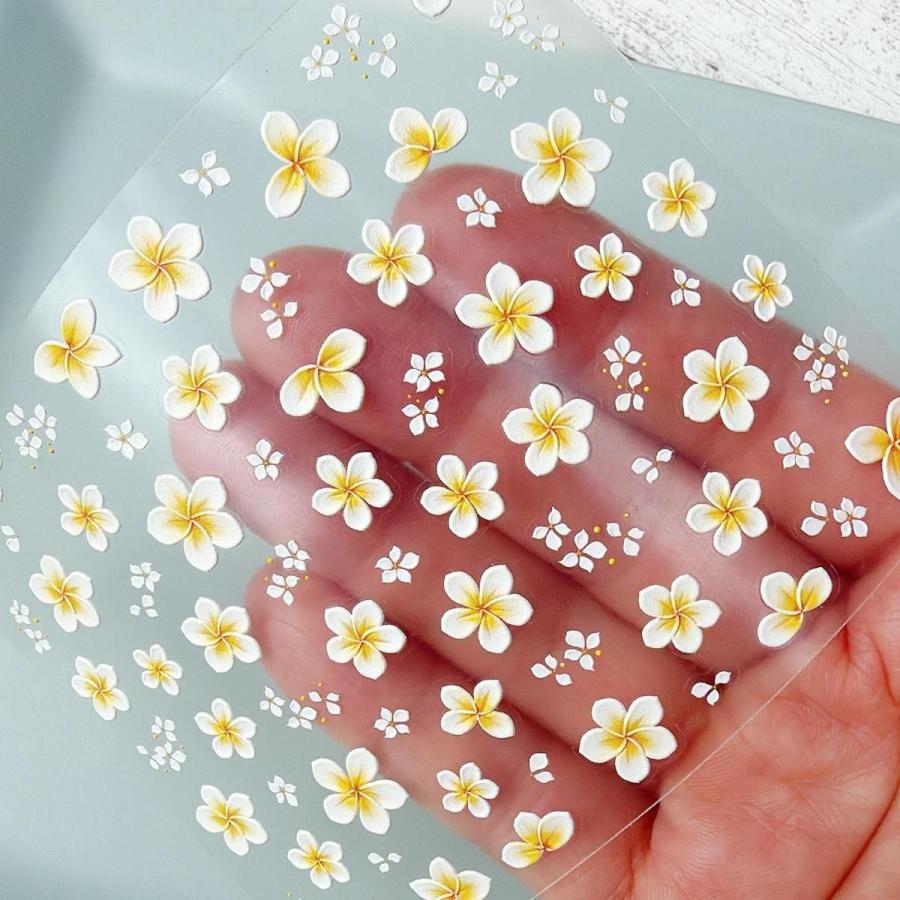 シール プレミアムレジンシール プルメリア 立体 エンボス お花 夏 海