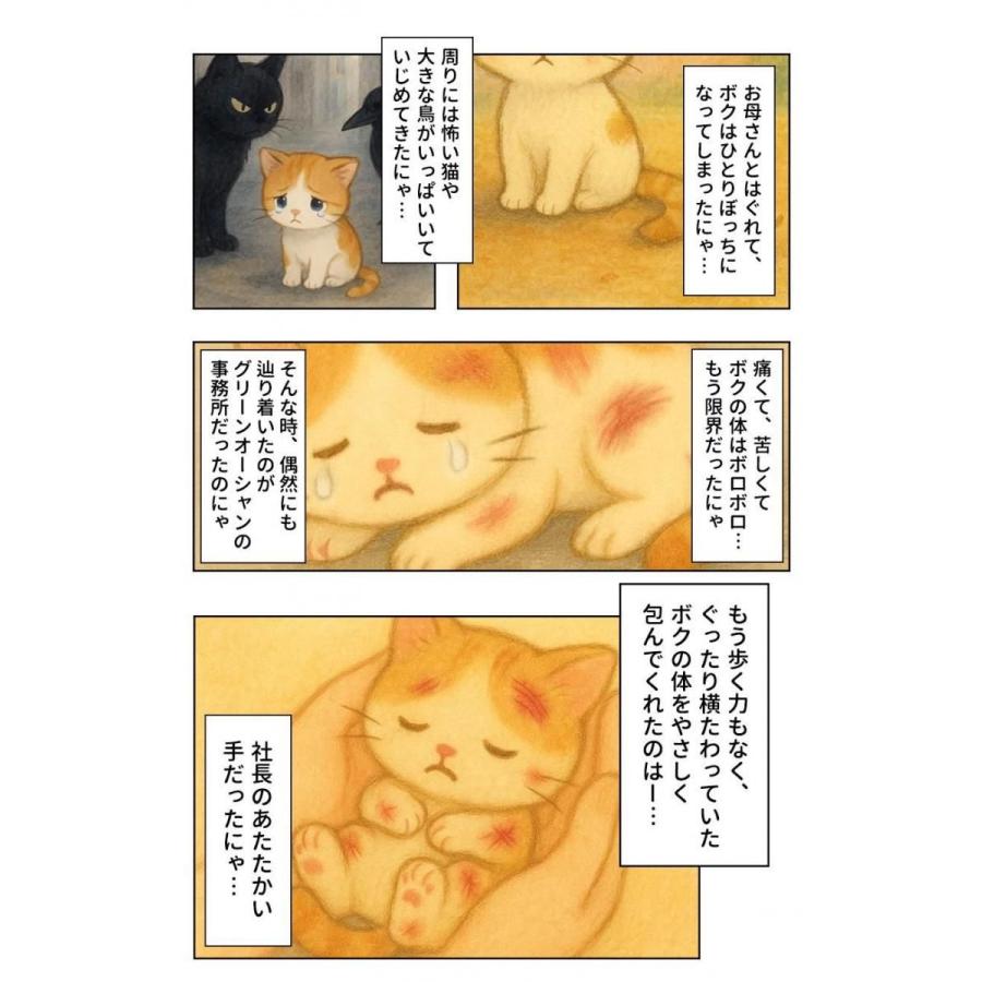 隠れ工房GreenOcean 保護猫支援 まさるの文具 3点セット チャリティ