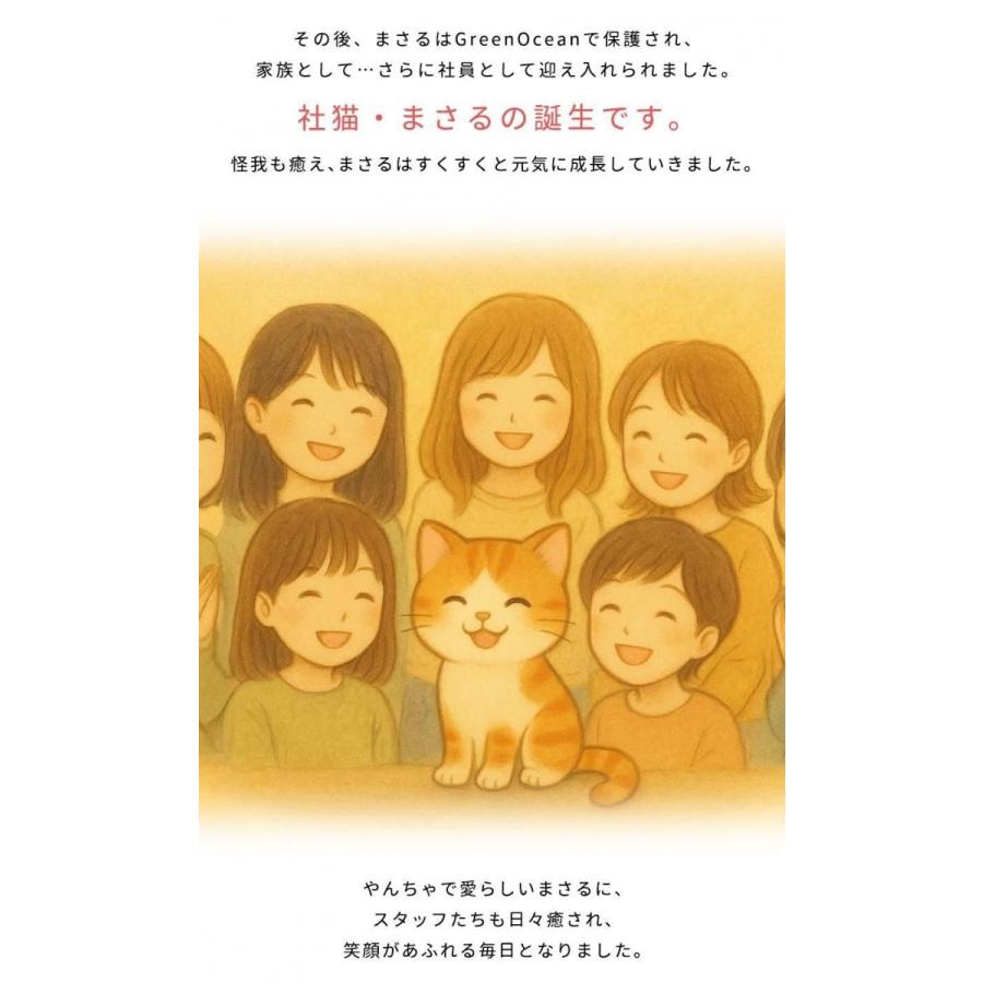 隠れ工房GreenOcean 保護猫支援 まさるの文具 3点セット チャリティ