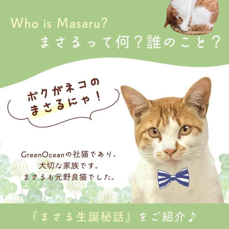 隠れ工房GreenOcean 保護猫支援 まさるの文具 3点セット チャリティ