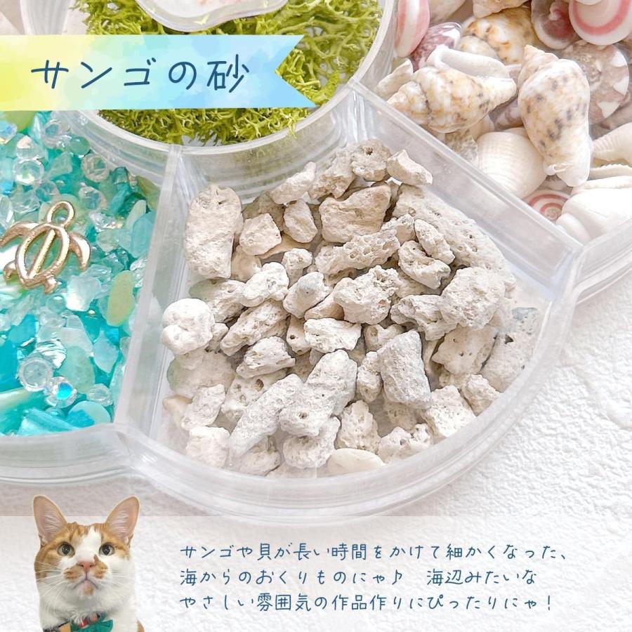 隠れ工房GreenOcean 封入 まさるの海のたからばこ 封入7種セット