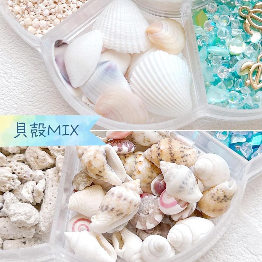 隠れ工房GreenOcean 封入 まさるの海のたからばこ 封入7種セット
