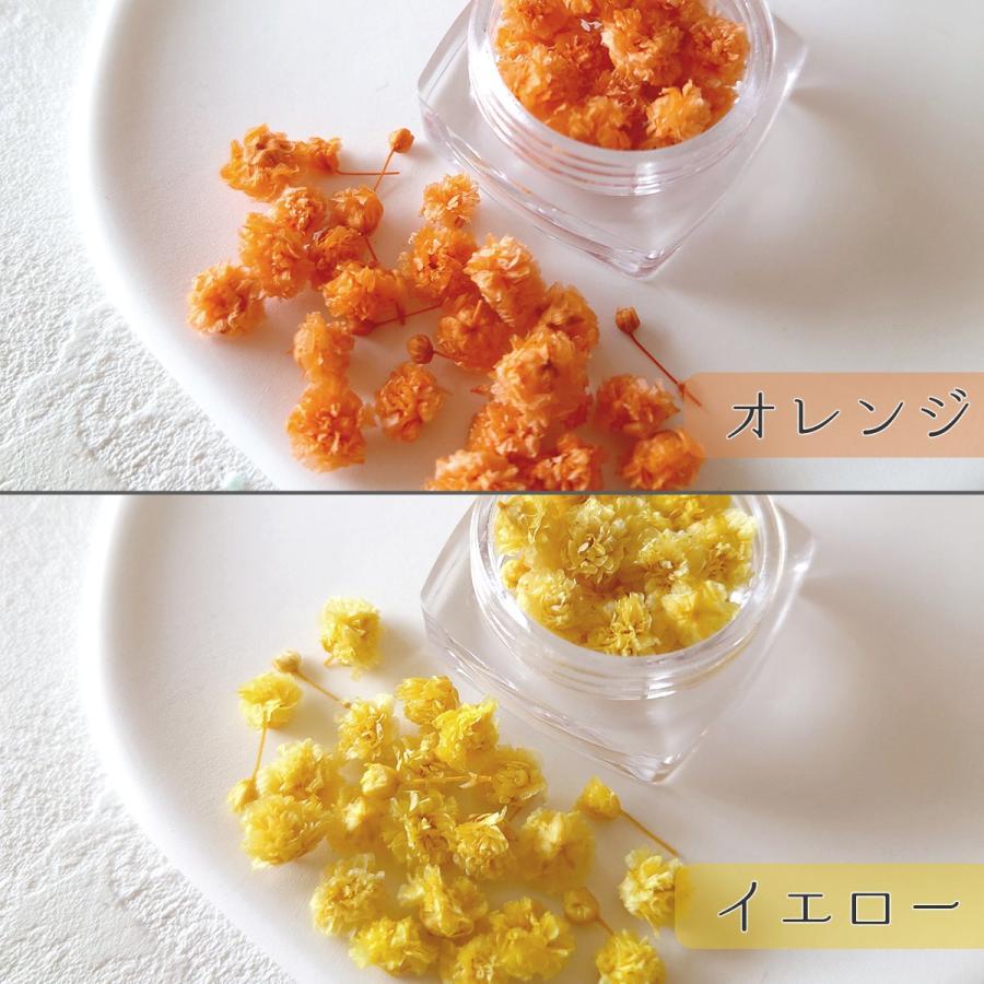 にゃーにゃ様◆【ドライフラワー】かすみ草の蕾 着色（843 レジン） にゃーにゃ様◇【ドライフラワー】かすみ草の蕾 着色（843 レジン