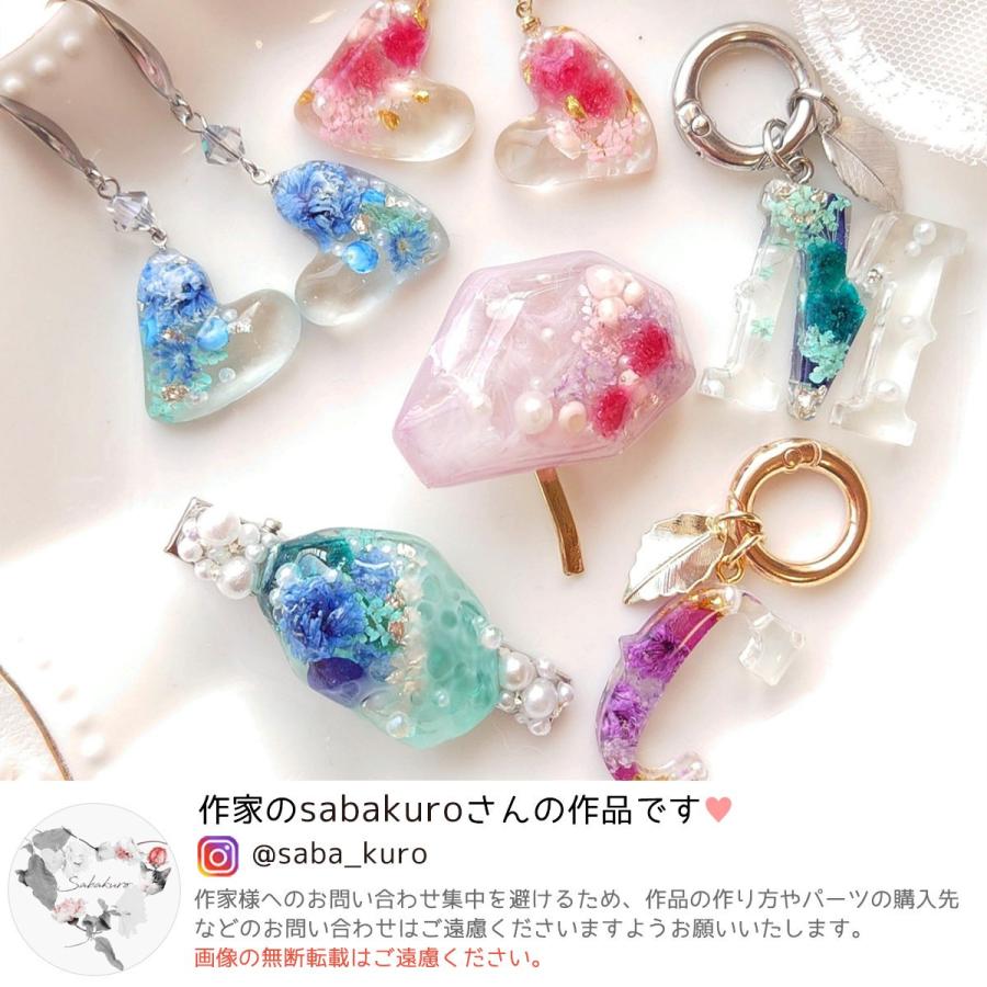 隠れ工房GreenOcean ドライフラワー ドライフラワーMIX クリアケース