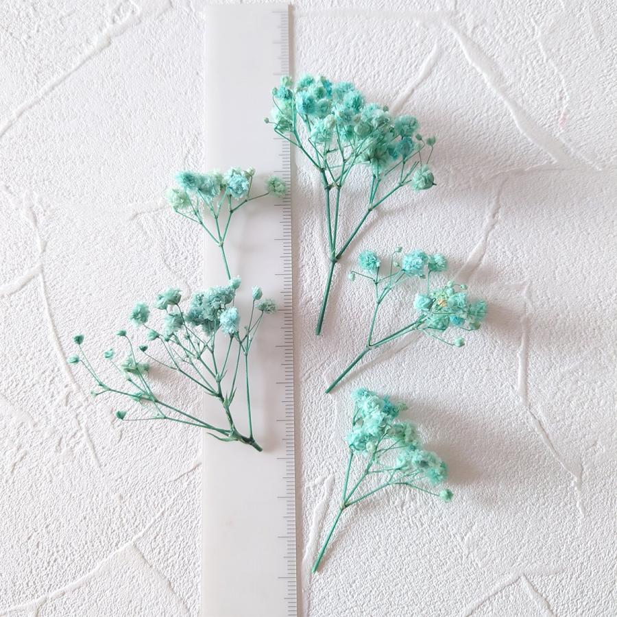 隠れ工房GreenOcean ドライフラワー 枝付きかすみ草 かすみそう