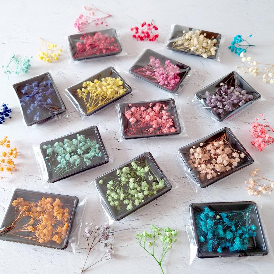 隠れ工房GreenOcean ドライフラワー 枝付きかすみ草 かすみそう