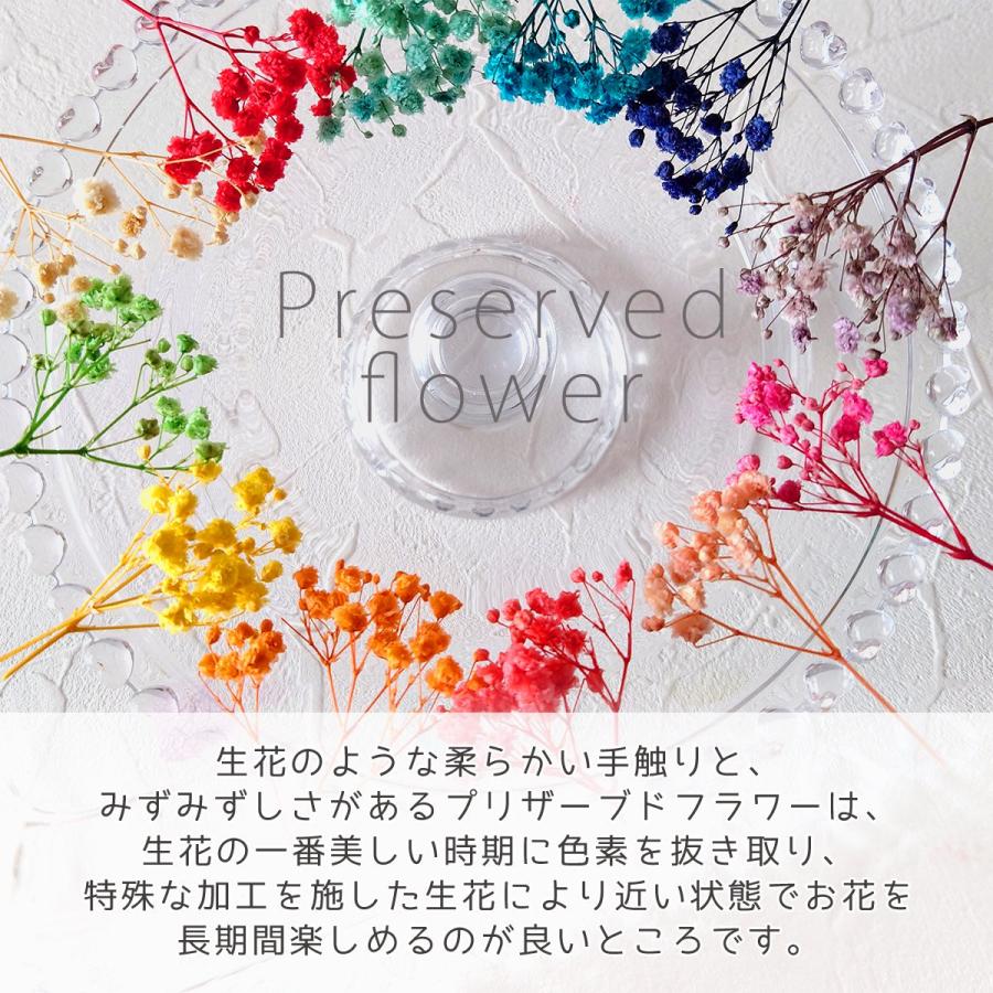 隠れ工房GreenOcean ドライフラワー 枝付きかすみ草 かすみそう