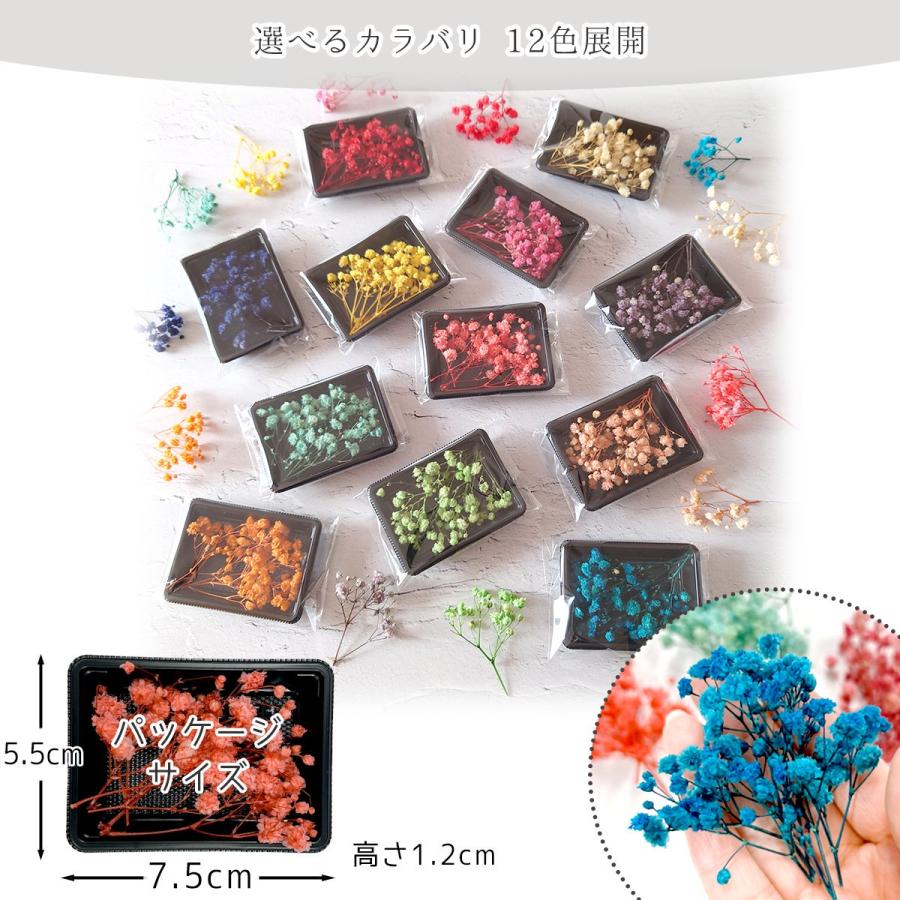 隠れ工房GreenOcean ドライフラワー 枝付きかすみ草 かすみそう