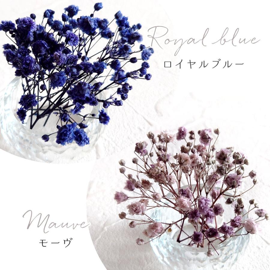 ResinArt❁NICOLE❁様◇【ドライフラワー】かすみ草の蕾 着色（846