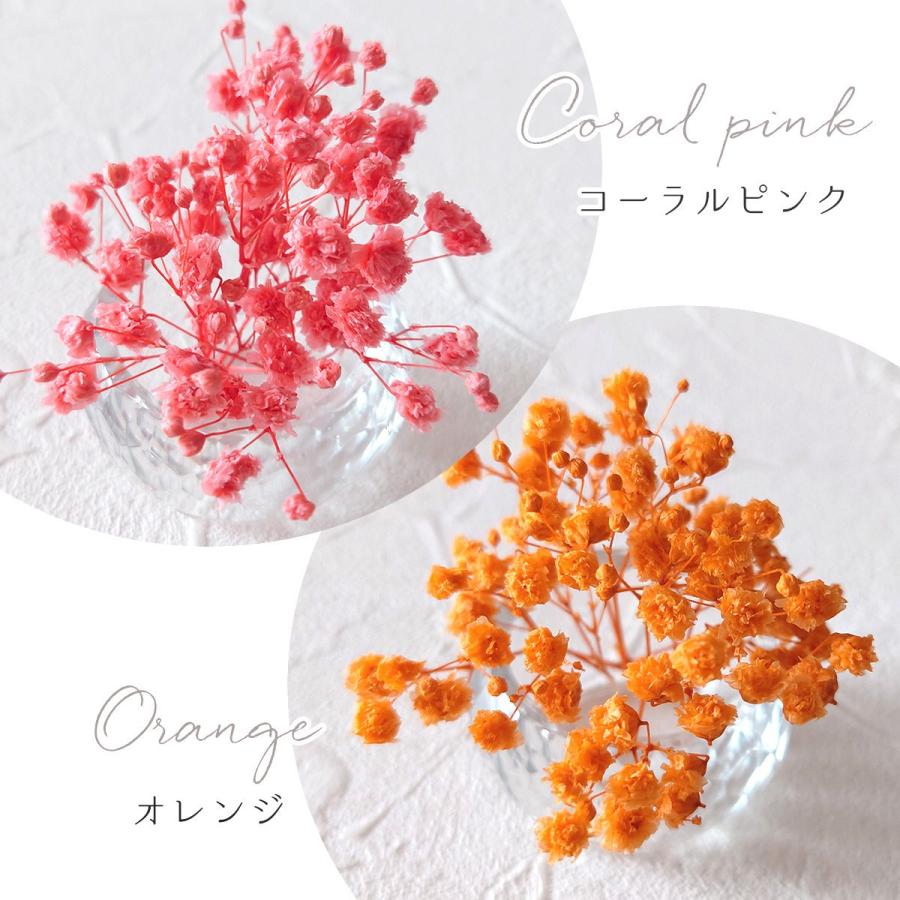 隠れ工房GreenOcean ドライフラワー 枝付きかすみ草 かすみそう