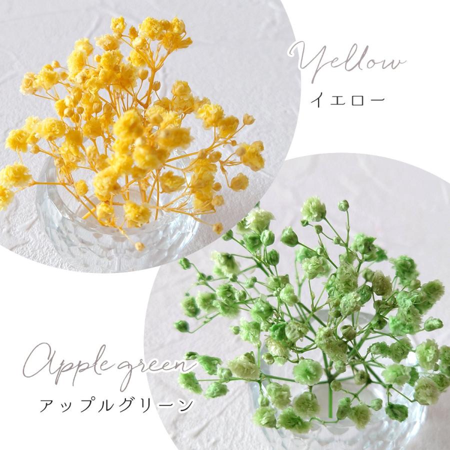 隠れ工房GreenOcean ドライフラワー 枝付きかすみ草 かすみそう