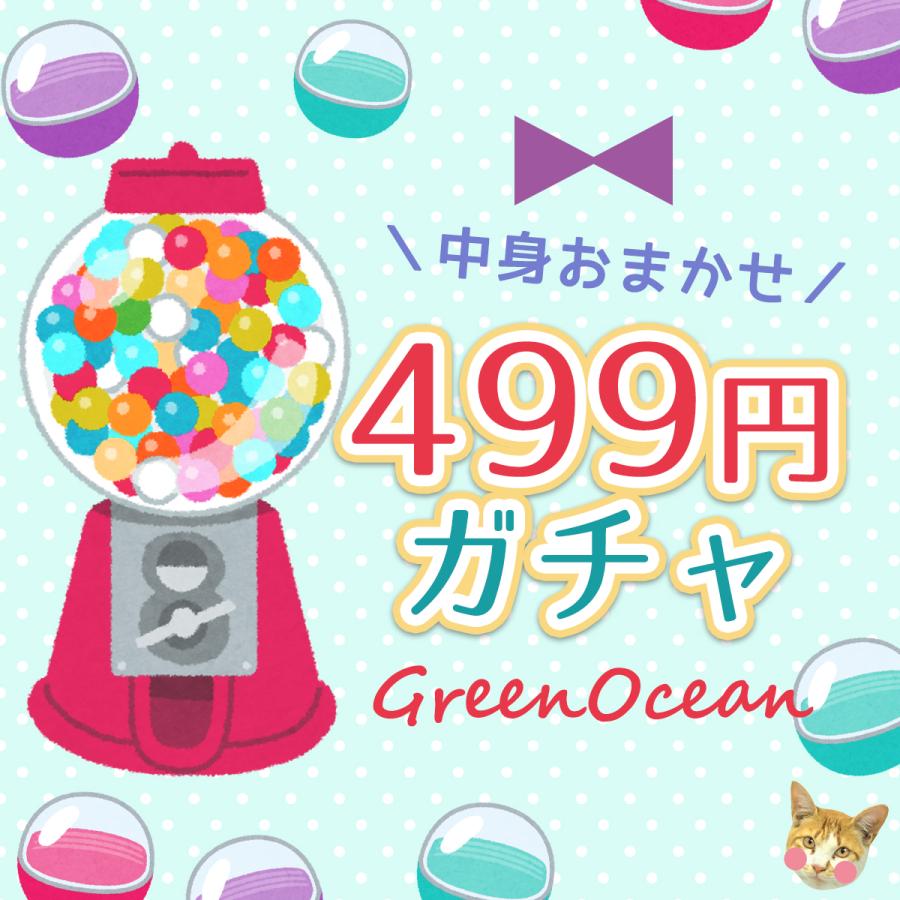 隠れ工房GreenOcean □福袋 スタッフお任せ♪ 運試し499円ガチャ 謎の