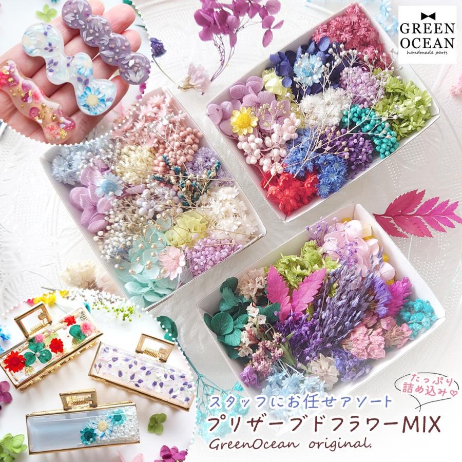 プリザーブドフラワー スタッフお任せ♪ 山盛りドライフラワー MIX アソート セット ミックス レジン 封入 素材 花材 本物 パーツ ハーバリウム GreenOcean（Yahoo!・隠れ工房 GreenOcean）