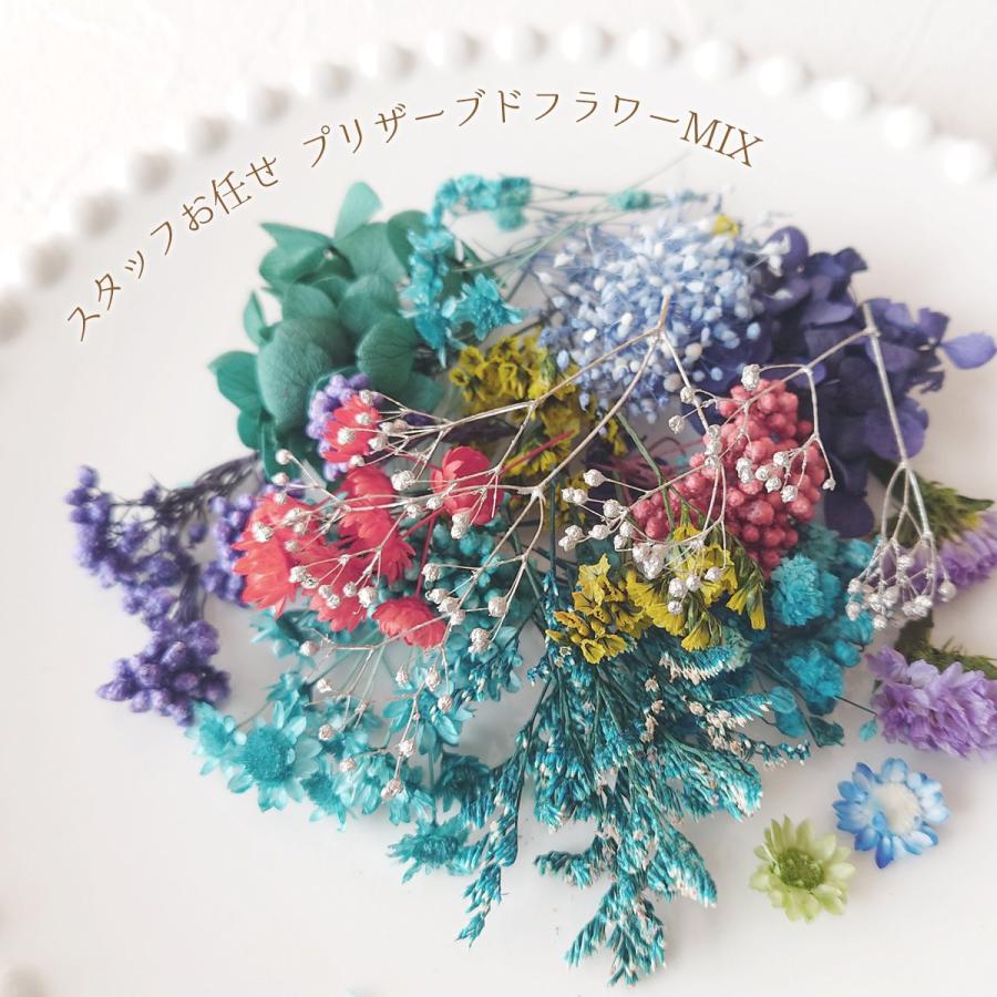 隠れ工房GreenOcean プリザーブドフラワー スタッフお任せ♪ 山盛り