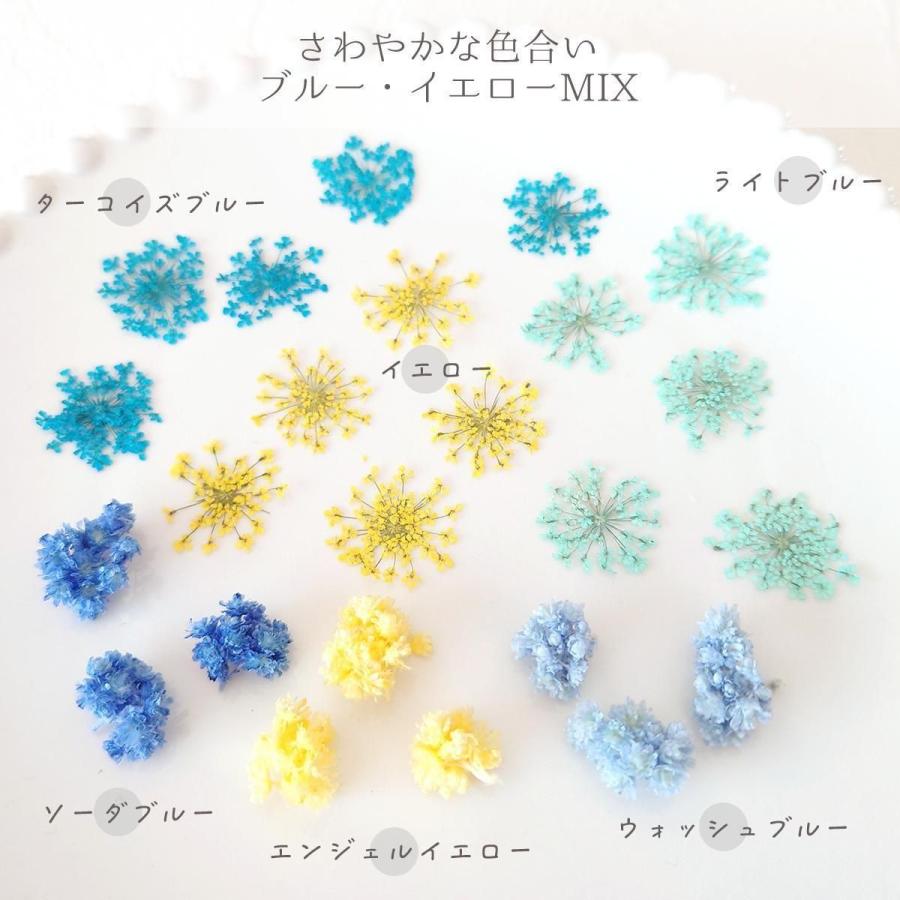 隠れ工房GreenOcean ドライフラワー プリザーブドフラワーMIX