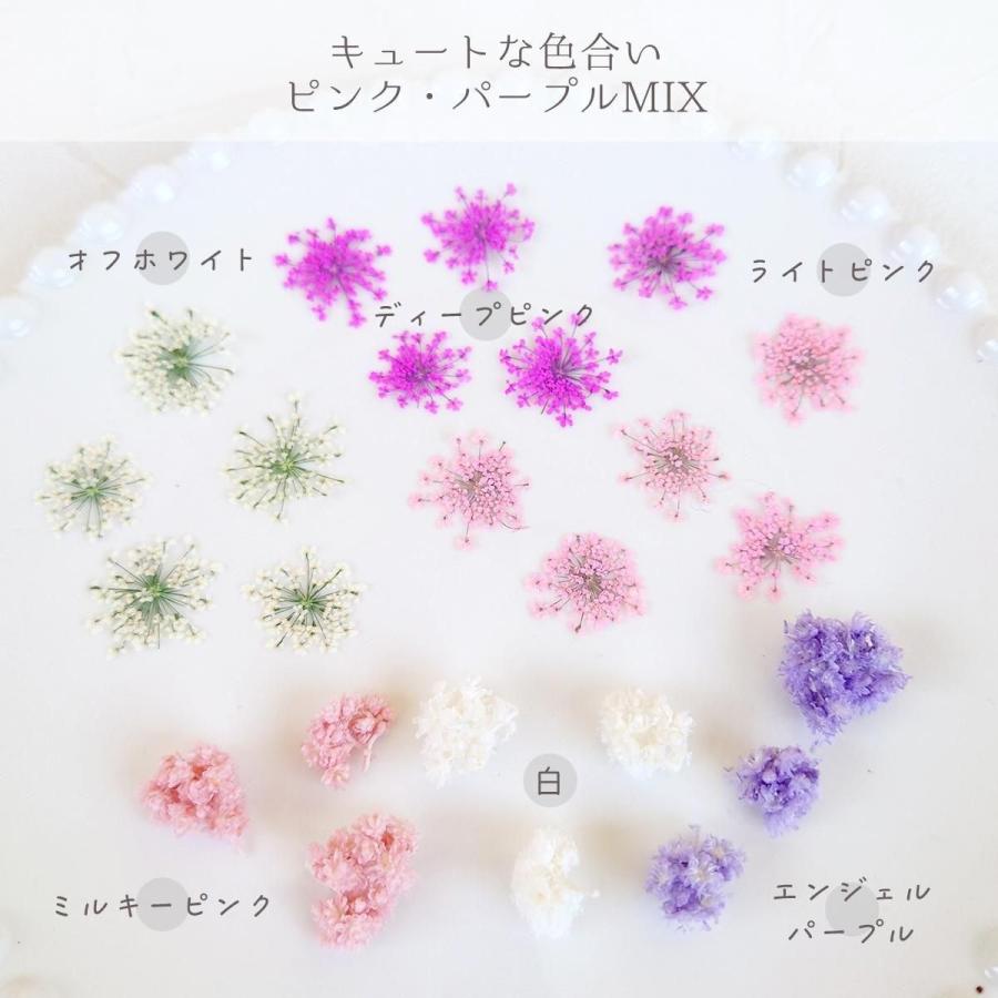隠れ工房GreenOcean ドライフラワー プリザーブドフラワーMIX
