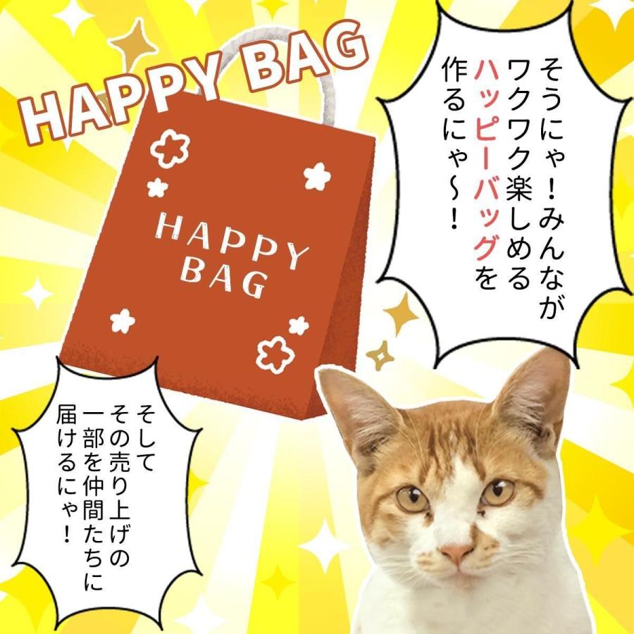 隠れ工房GreenOcean □福袋 『ボクが選ぶにゃ！まさるにおまかせHAPPY