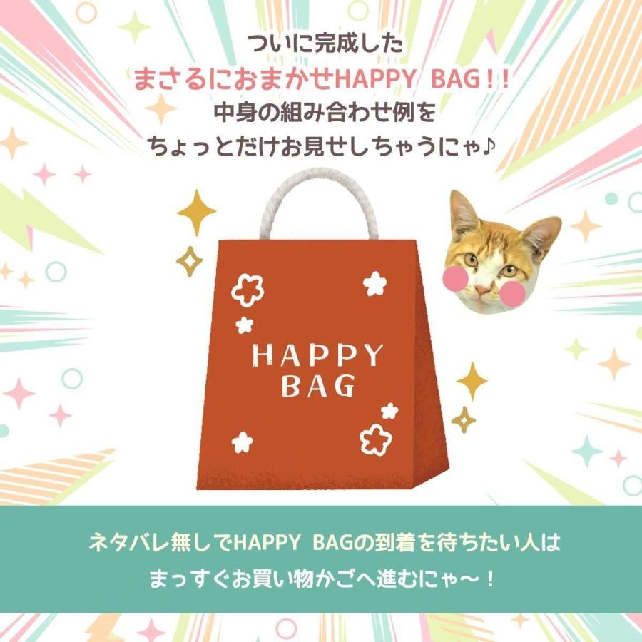 マイヤペン対応最高品質版ORT オックスフォード　福袋④付 隠れ工房GreenOcean □福袋 『ボクが選ぶにゃ！まさるにおまかせHAPPY