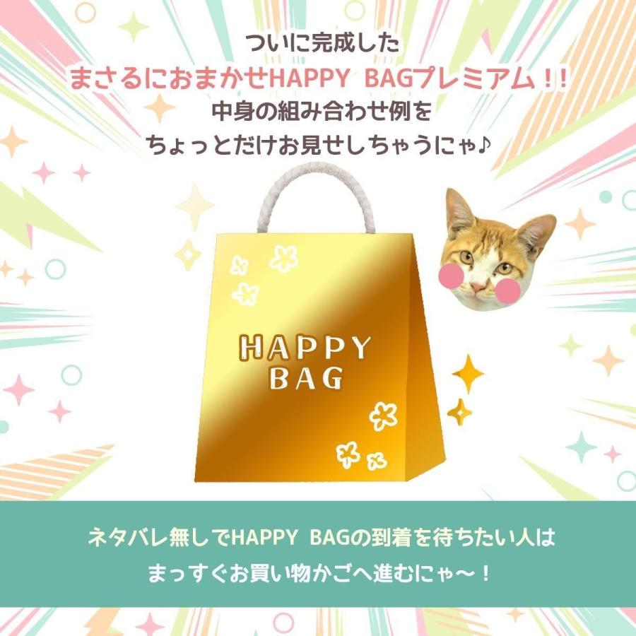 隠れ工房GreenOcean □☆福袋 『ボクが選ぶにゃ！まさるにおまかせ