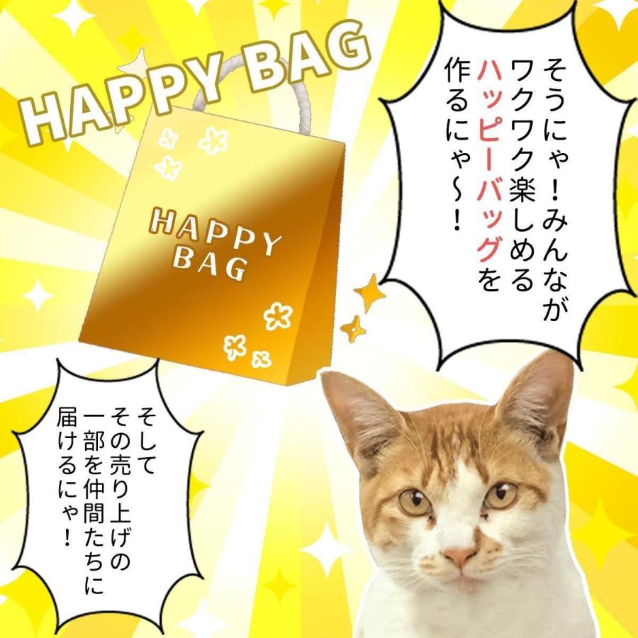隠れ工房GreenOcean □☆福袋 『ボクが選ぶにゃ！まさるにおまかせ
