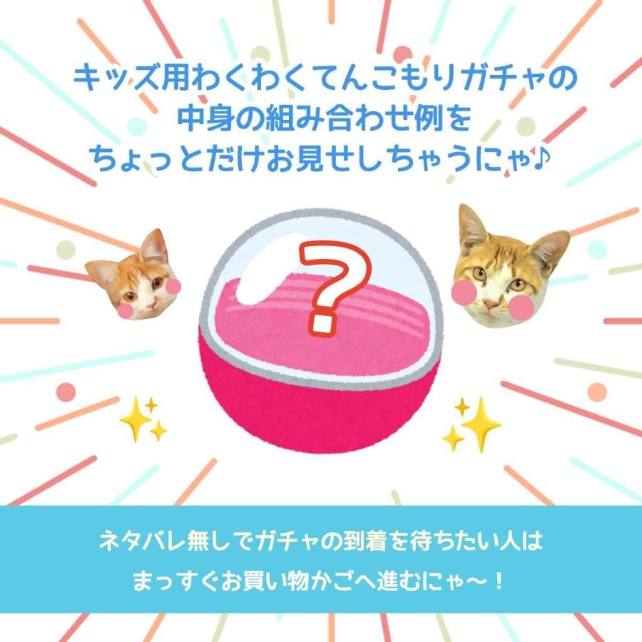 隠れ工房GreenOcean □福袋 スタッフお任せ♪ キッズ用わくわく