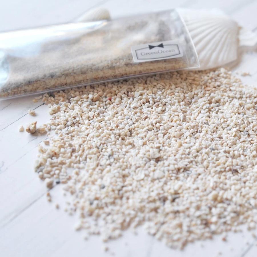 隠れ工房GreenOcean 自然素材 20g 本物のサンゴのかけら＆海の砂
